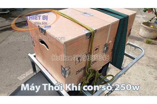 Máy Thổi Khí Con Sò GB-250