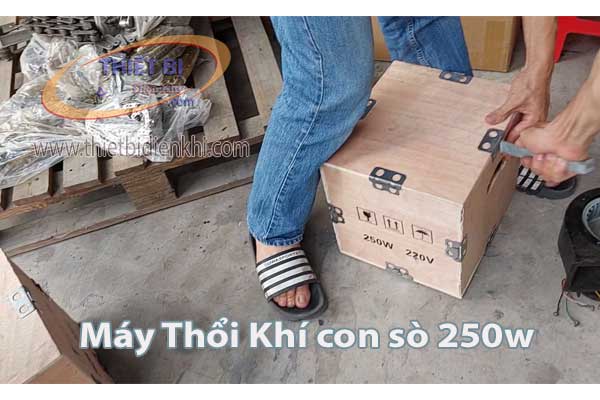 Máy thổi khí con sò GB 250w